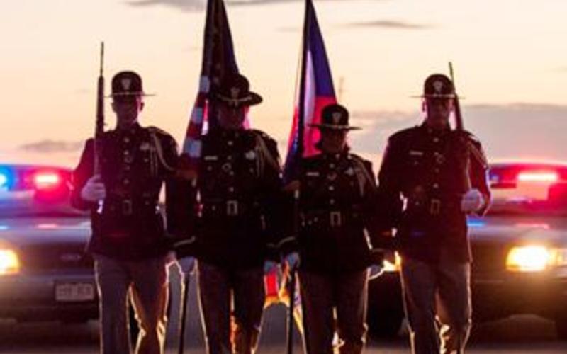 Professional Standards