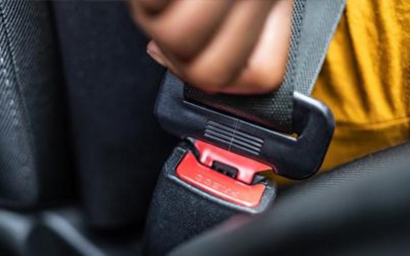 Seat Belt Laws